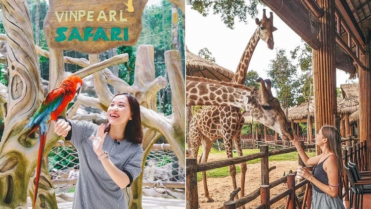 Cùng Superdong Khám Phá Safari Phú Quốc Có Gì?    